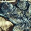 Ocean Mist Bodysuit